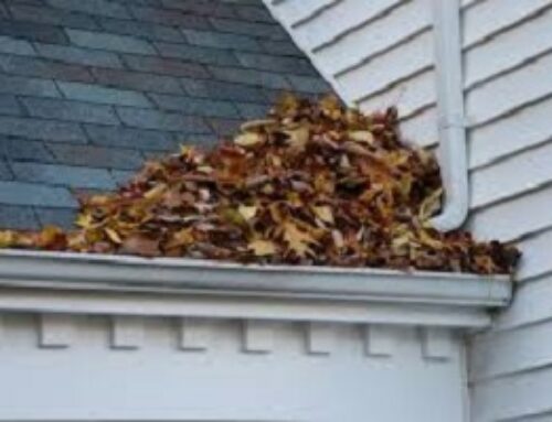 How to prepare your gutters for Autumn