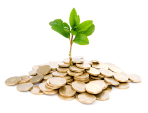 6 ideas for landscaping on a budget