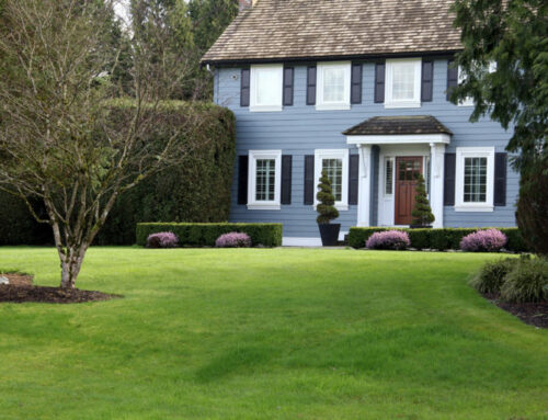 Preparing your lawn for winter months