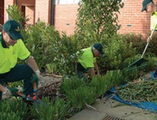 Traits of a good gardening contractor