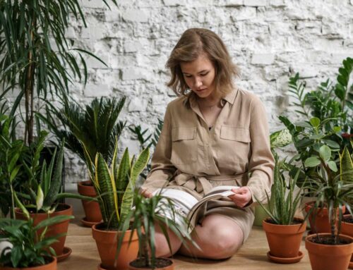 Indoor Growing for Chilly Months: Herbs in the Winter?