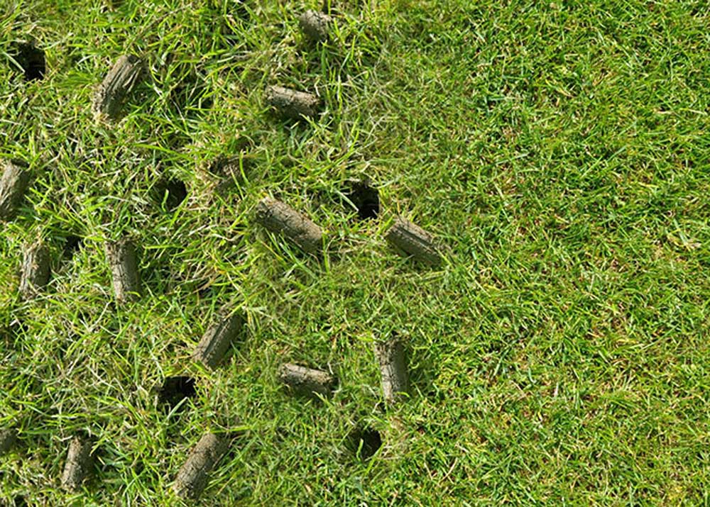 Jim’s Mowing lawn aearation services Jim's Mowing lawn aearation services