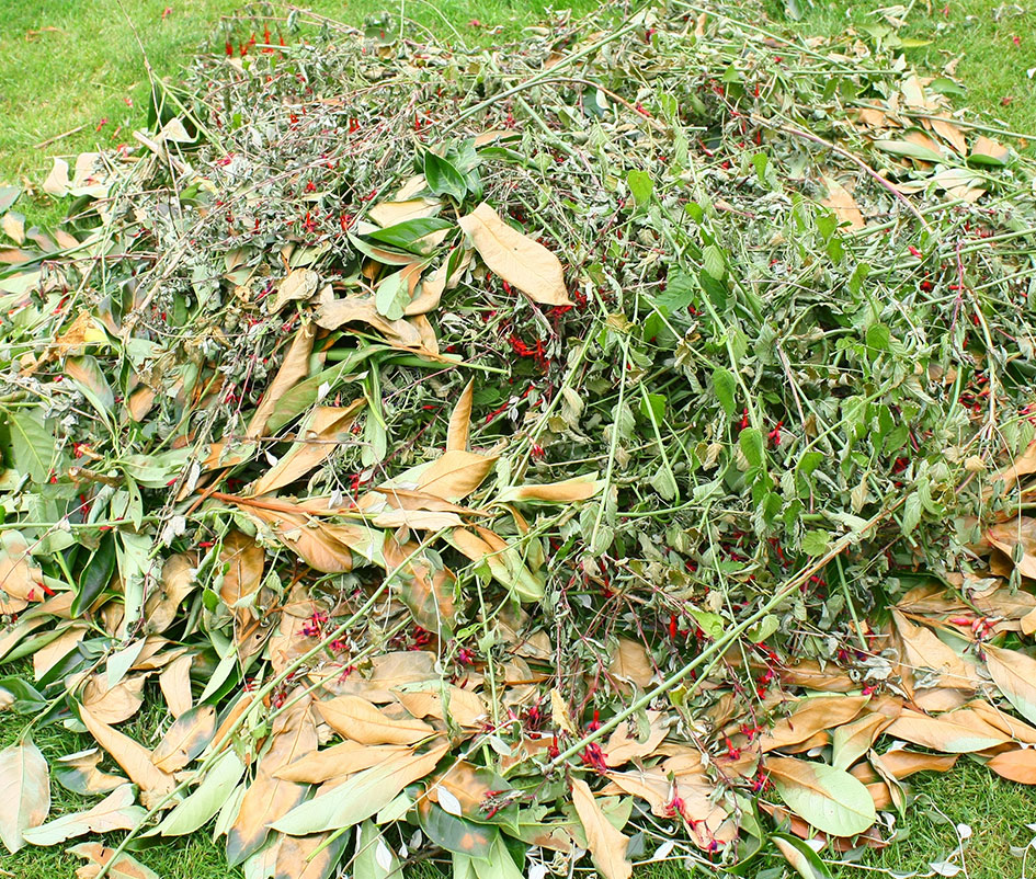 Jims Mowing Yard Waste Junk Removal Jims Mowing Yard Waste Junk Removal
