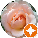 Judy Rose profile picture