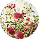 Adele Skinner profile picture