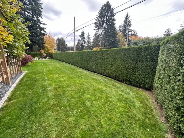 Image Before 2 Image Before 2