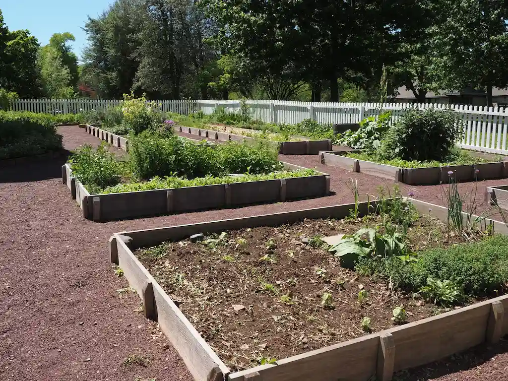 Create Garden Raised Beds Create Garden Raised Beds