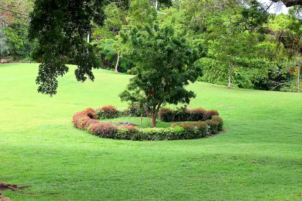 Dependable Peacefulness Lawn Dependable Peacefulness Lawn