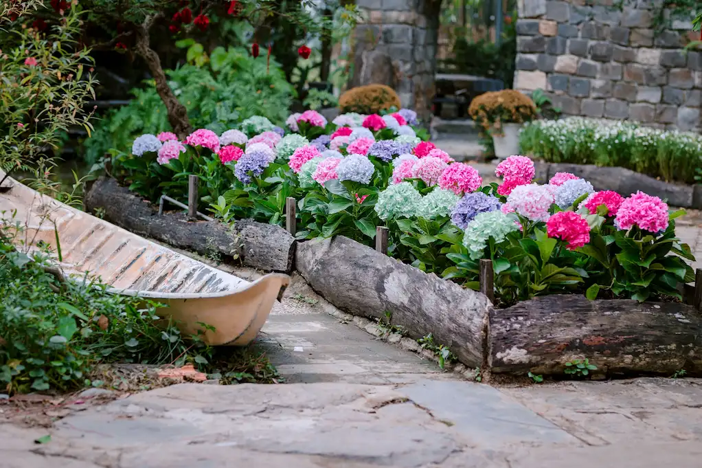 Design Your Garden Layout Design Your Garden Layout