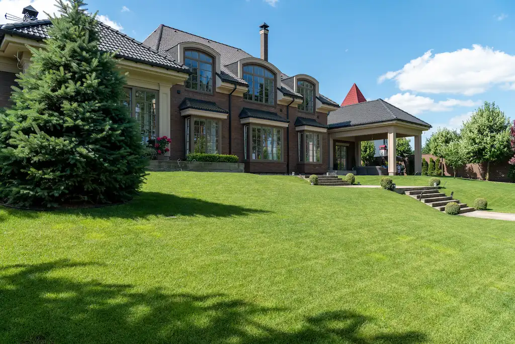 Knowledge and Skill in Lawn Care Knowledge and Skill in Lawn Care