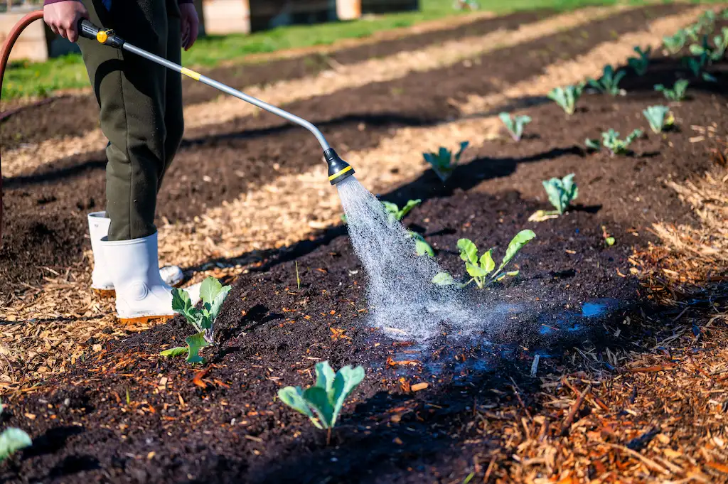 Water your Garden Water your Garden
